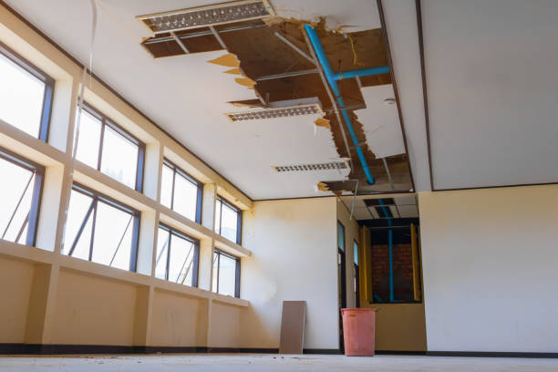 Best Flood restoration services  in Bethany, MO
