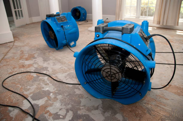 Best Sewage cleanup and water damage restoration  in Bethany, MO